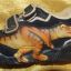 Świecące buty Dinozaur Dinosoles 3D rozmiar 25 26
