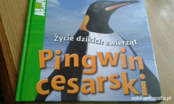Zycie dzikich zwierzat Pingwin Cesarski