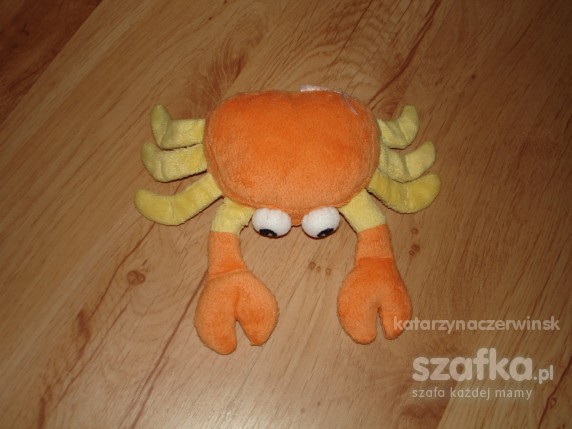 Śliczny krab