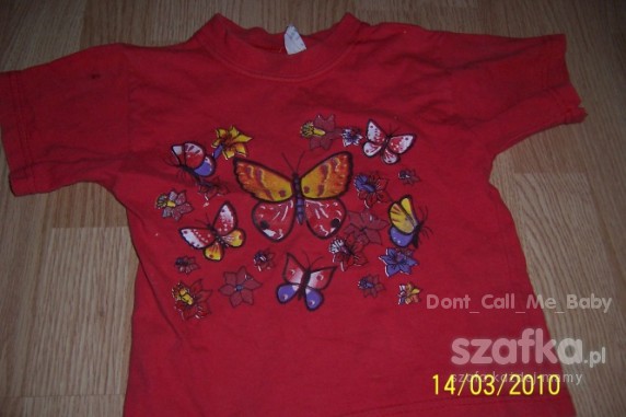 super bluzka z krotkim rekawkiem motylki