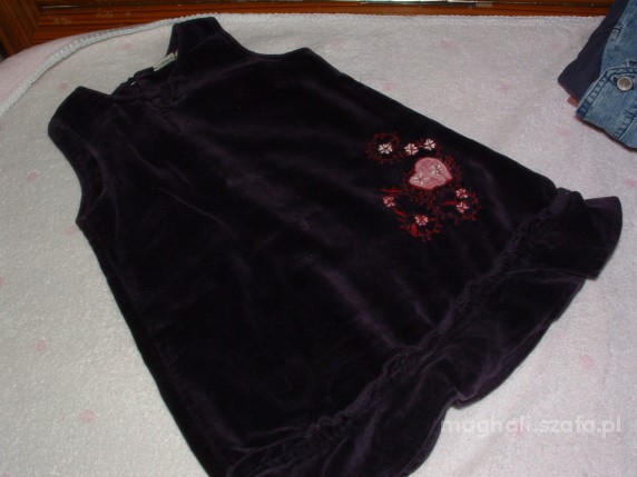 Fioletowa In Extenso r80