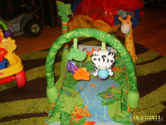 MATA FISHER PRICE CENA Z PRZESYLKA