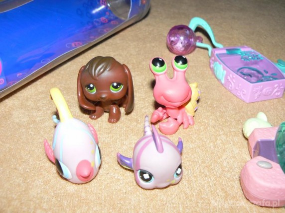 Zestaw Littlest Pet Shop