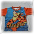 Bluzeczka z tygryskiem