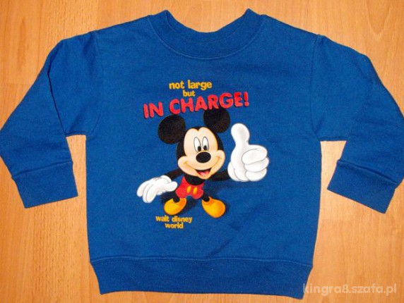 Bluza Walt Disney z USA 1218mc