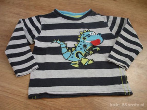 Śliczna bluzeczka ze smokiem 18 24m