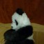 Zabawka interaktywna panda