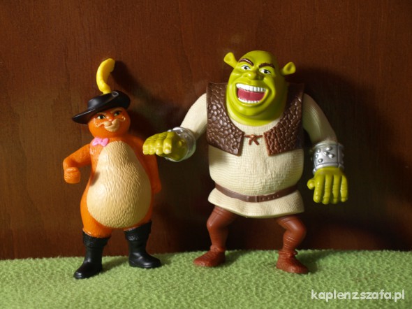 Shrek i Kot