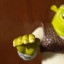 Shrek i Kot