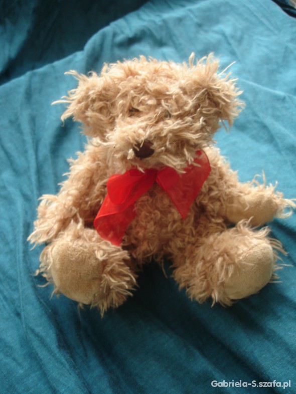 Klasyczny teddy bear Pier 1 Imports