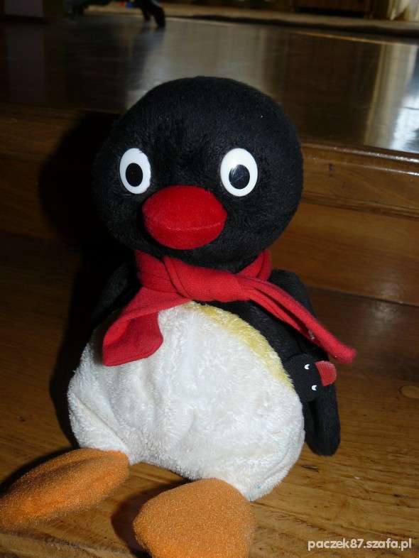 OKAZJA KŁUTLIWY Pingu