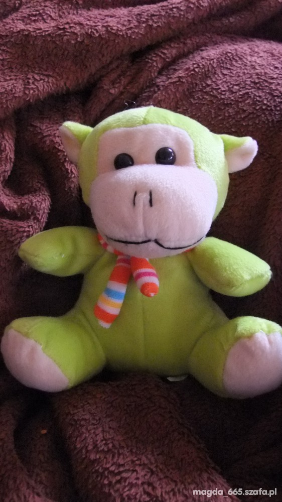 NOWA zielona małpka