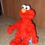 elmo live