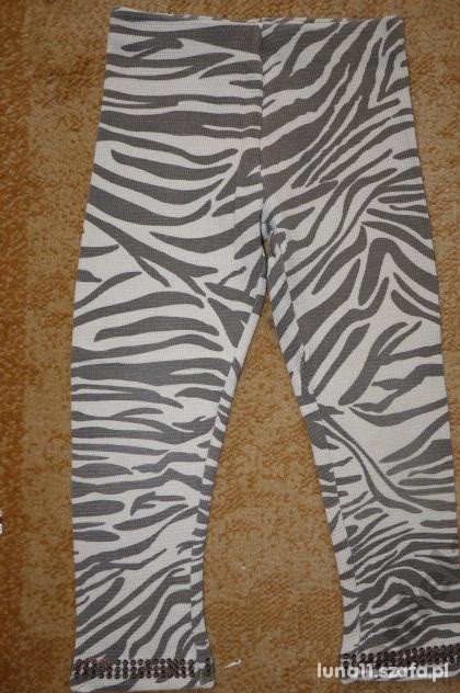 next legginsy zebra 104