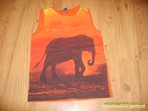 H&M bluzeczka 120cm AFRICA 6 DO 7 LAT