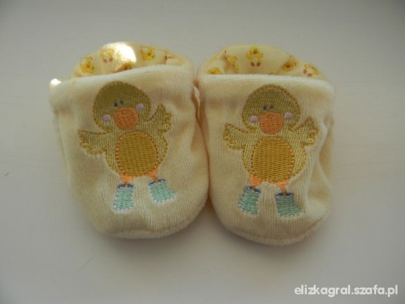 ciapki z kaczuszką 56