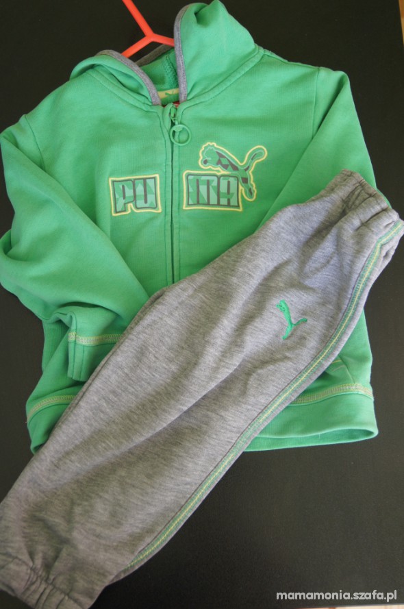 Szukam dresu Puma