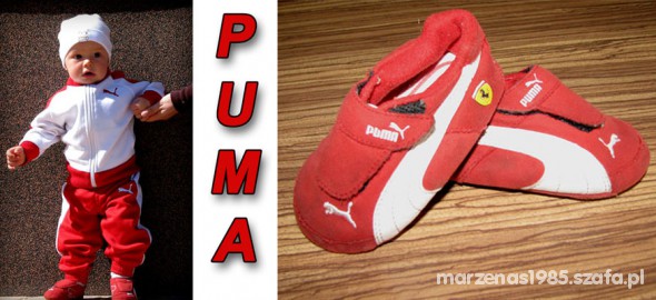 Puma ferrari rozm 19