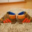 Adidas rozm 27 Toy Story