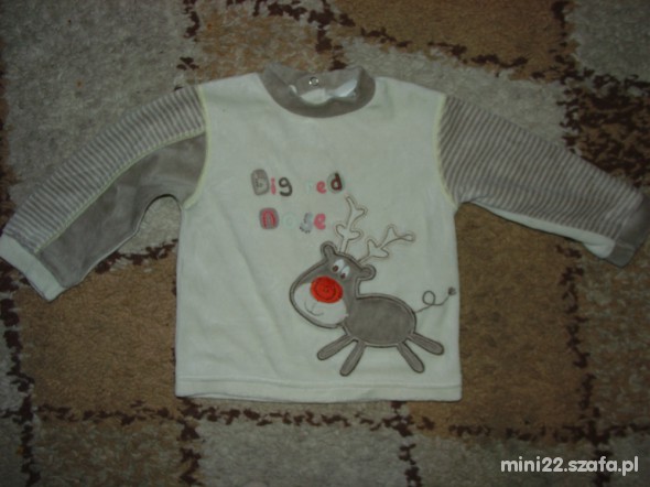 Welurek z reniferem na 80