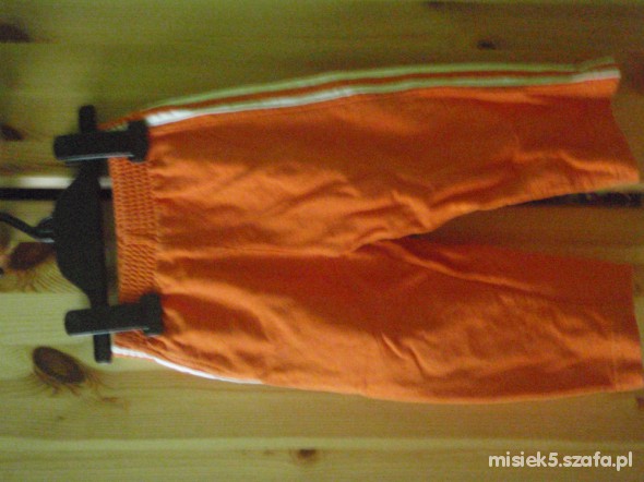 pomarańczowe spodnie