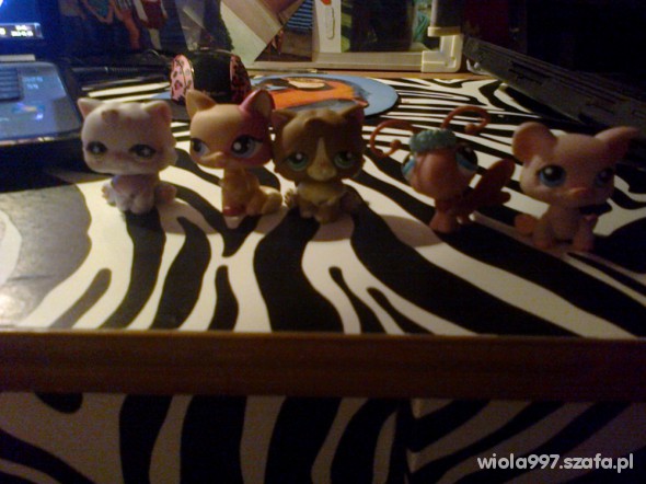 Littlest pet shop za szt