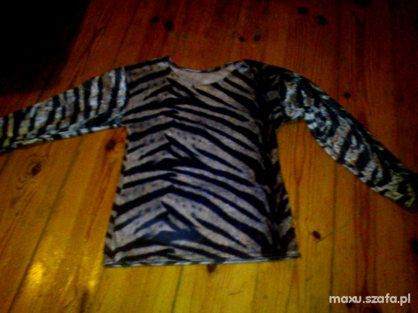 Bluzeczka Zebra