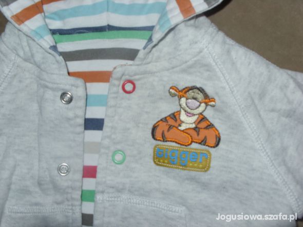 Kurteczka ciepła bluza z tygryskiem