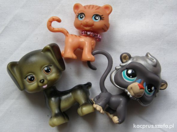 littlest pet shop 3 szt