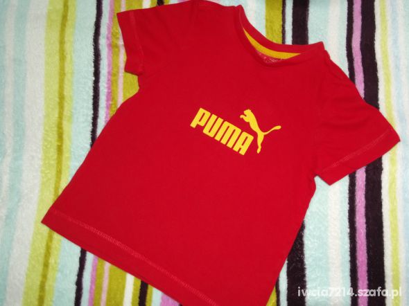 Puma dla niej i dla niego 104