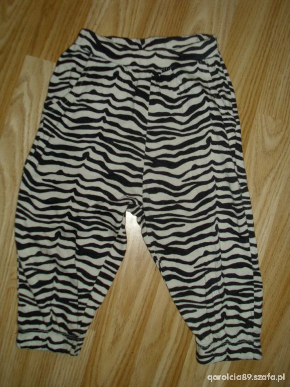 zebra pumpy 86
