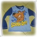 sliczna scooby doo 5 6 lat