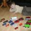 Marcuś i jego kolekcja autek