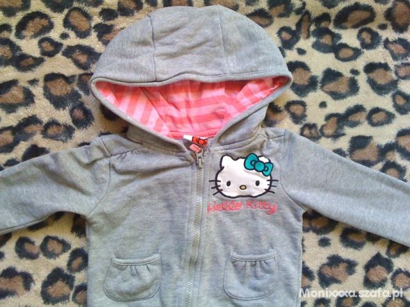 SZARA BLUZA HELLO KITTY 86R