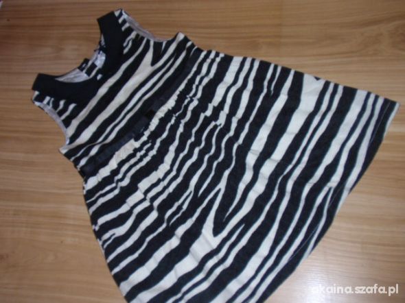 Next Sukiena zebra 104