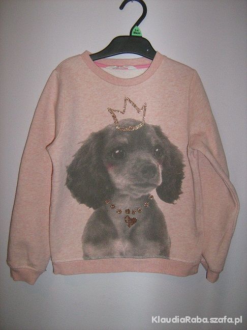 Bluza ocieplana H&M rozm 122 128
