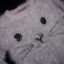 116 YD Primark sweter włochacz kotek jak NOWY