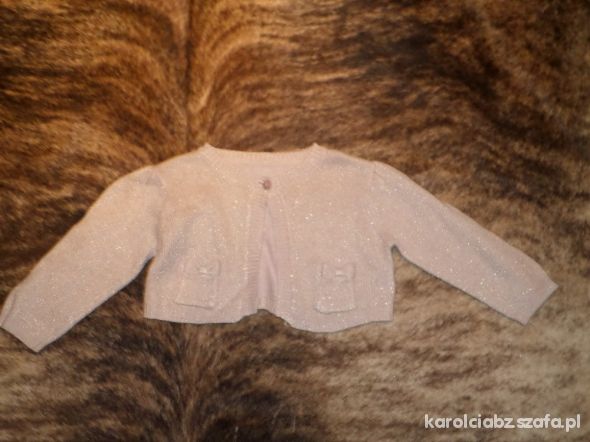 ST BERNARD bolerko 92