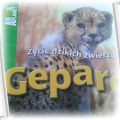 Zycie dzikich zwierzat Gepard