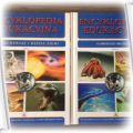 Encyklopedia edukacyjna