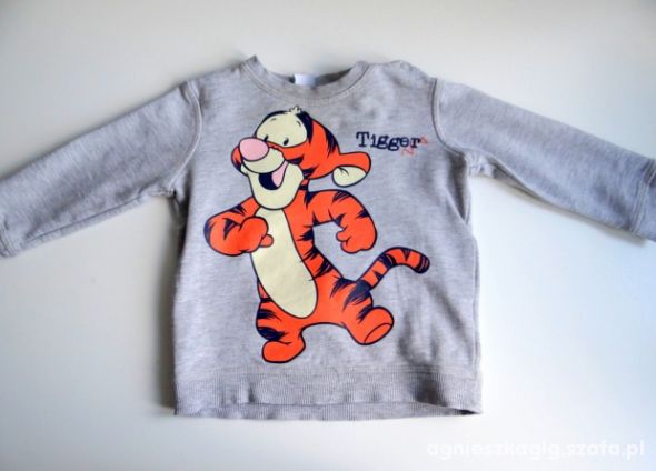 Szara bluza z tygryskiem od 9 do 12 miesięcy