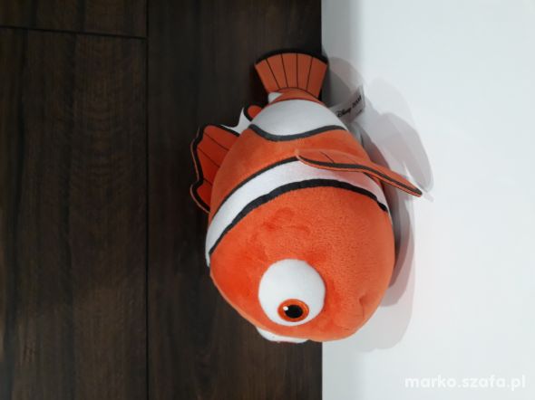 Rybka Nemo